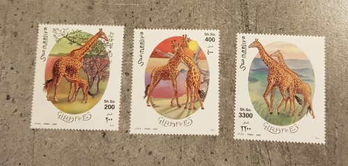 SOMALIA-2000- GIRAFFES -SET MNH - 第 1/1 張圖片