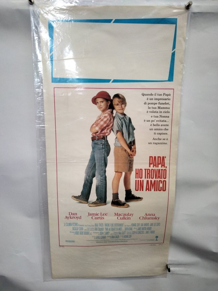 Locandina di Papà, ho trovato un amico (1991)