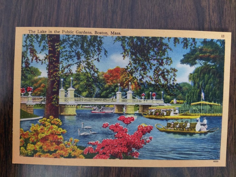 Boston Massachusetts Lake In The Public Gardens Vintage Postcard Swan Boats