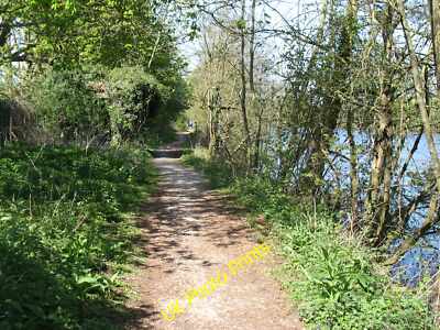 Foto 12x8 Der Themseweg in Tilehurst Purley an der Themse c2015
