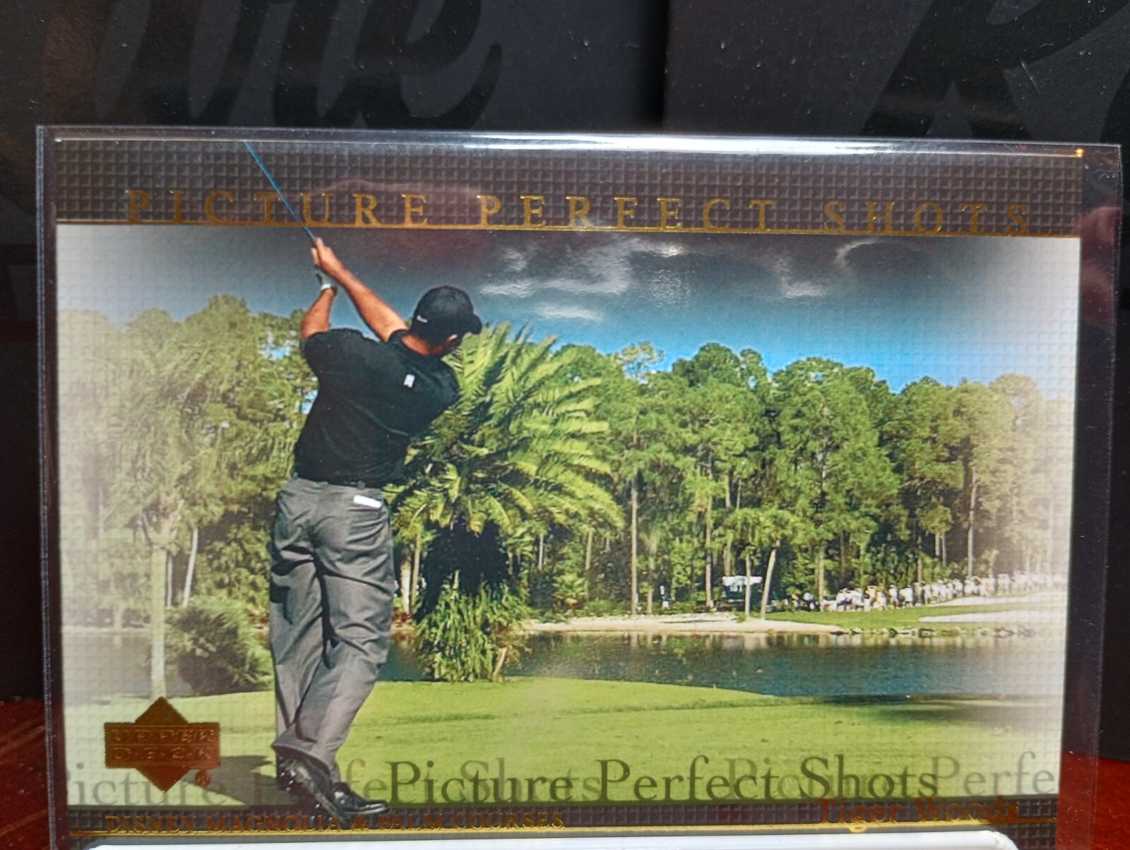 2004 Upper Deck Golf Picture Perfect Shots #80 Tiger Woods