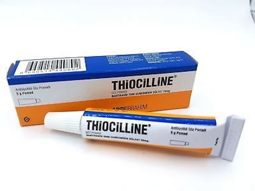 Thiocilline 5g EYE Ophthalmic ointment infection antibacterial horse cat dog