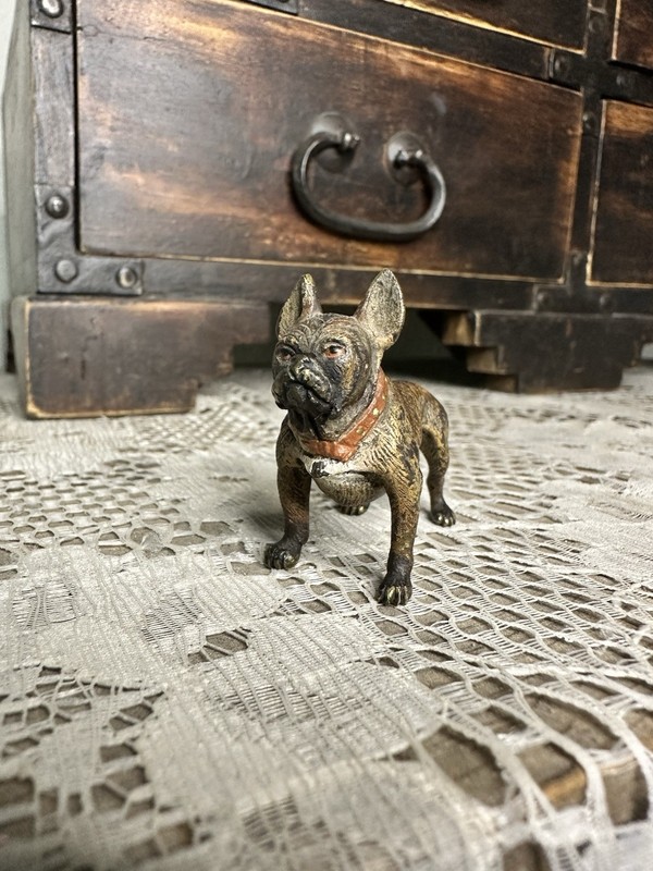 FRENCH BULLDOG Austria  1.5” BRINDLE DOG figurine Brass original paint
