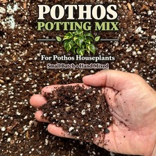 Pothos Potting Mix Chunky Aroid Soil Golden Marble Queen Neon