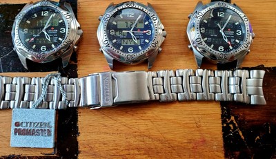 citizen promaster analog digital