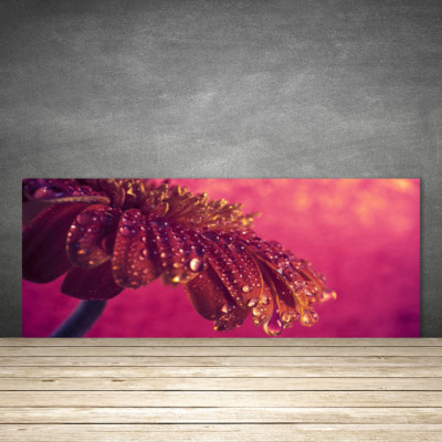 Crédence De Cuisine En Verre - Panneau 125x50 Cm Motif Floral Roses - Marque Tulup - Neuf