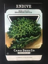 1920s Litho Antique Vintage Card Seed Co. Packet Pack Endive Moss Curled