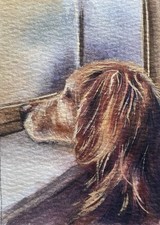  on The Hot Collector