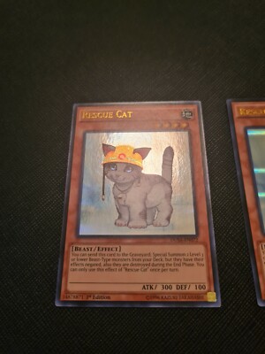 Rescue Cat DUSA-EN072 1st ed. Near Mint | eBay