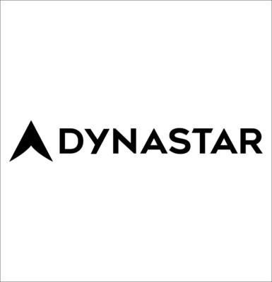 Dynastar Decal B Sticker Ski Decal Snowboard Decal Vinyl Ski Snowboard Sticker