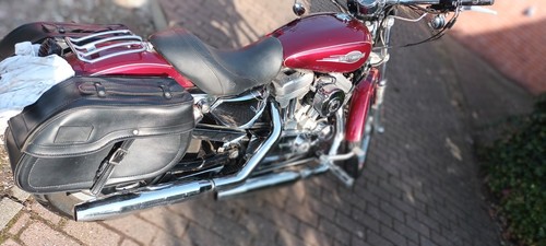 Harley Davidson Sportster 883c 53c - Bild 8 von 8