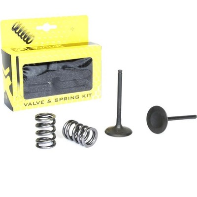 Pro X Steel Intake Valve and Spring Kit CSB1WUK-X001-Y015
