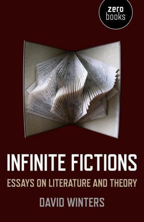 Infinite Fictions: Essays On Literature And Theory, David Winters
