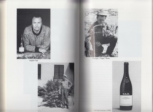 The Vines of San Lorenzo by Edward Steinberg (1993) HC/DJ 1ST/1ST ~WINEMAKERS~ - Picture 6 of 6