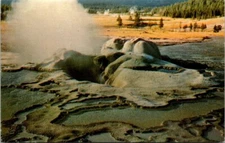 Old Faithful Cone Yellowstone Park Wyoming Chrome Postcard Unposted A62