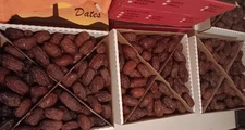 Medjool Dates
