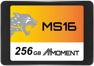 MS16 256GB 2.5 Inch SATA III 6 Gb/S Internal Solid State Drive SSD (Read up to 5
