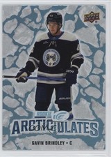 2024-25 Upper Deck Ice Arcticulates Rookies Gavin Brindley #AT-48 00ba