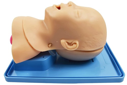 Maniquí de intubación infantil l modelo de enseñanza de vías respiratorias con material de PVC para traqueal - Imagen 2 de 6