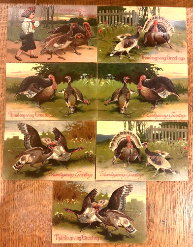 7 antique THANKSGIVING TURKEY Fink Berlin GERMANY embossed POSTCARD early 1900