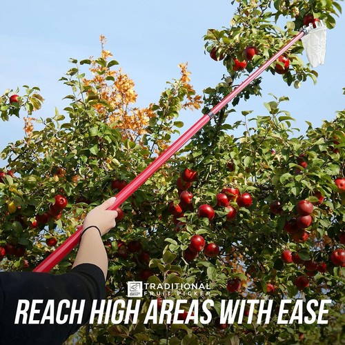 Apfelobstpflücker mit Stange Teleskopgriff Korb Garten Hochbaumfänger - Bild 3 von 7