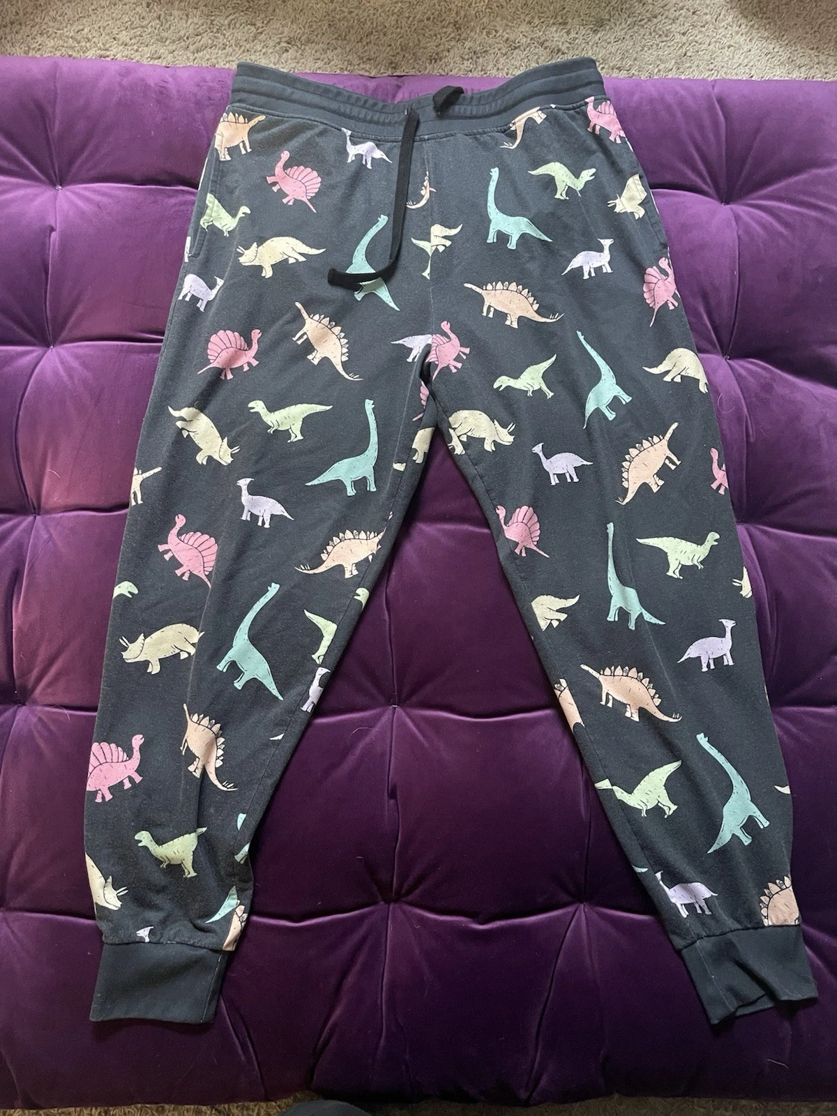 Men's Dinosaurs Casual Relaxed Fit Sweatpants Joggers Lounge Size XL EUC
