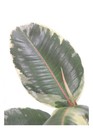 Foto 3 di 4