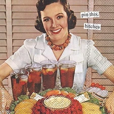 Boston International IHR Anne Taintor, 20 Count Cocktail Beverage Paper Napkins,