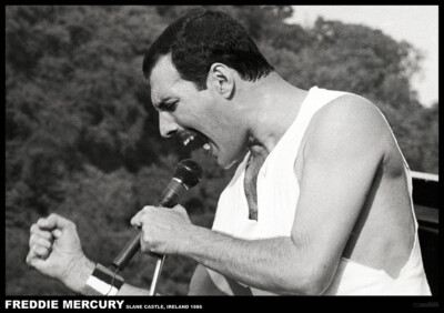 Poster QUEEN - Freddie Mercury, Slane Castle 1986 ca85x60cm NEU 15582