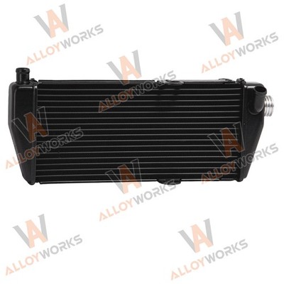 Radiator Fit Kart Rotax Max /Junior max Go-Kart 125 PRE 2011-2015 2014 2013 2012