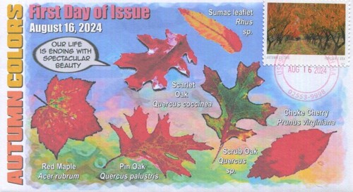 COVERSCAPE computer generated “Autumn Colors” Forever 2024 U/O FDC - 第 1/2 張圖片