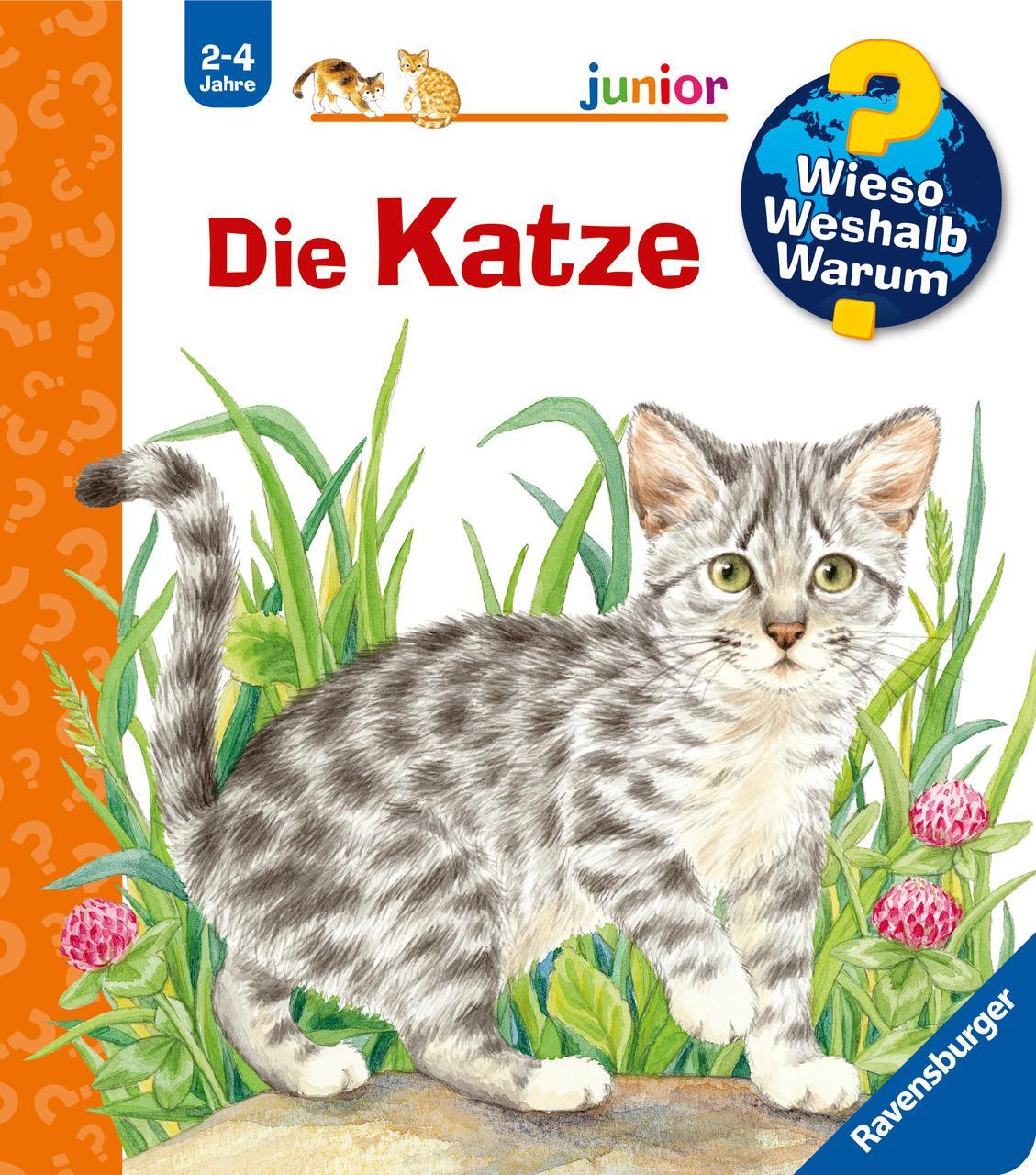 Thumbnail - Patricia Mennen Wieso? Weshalb? Warum? Junior, Band 21: Die Katze
