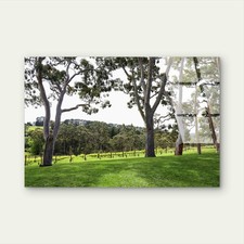 Yarra Valley Vineyard Eucalyptus Trees Glass Printing Wall Art Australian Made