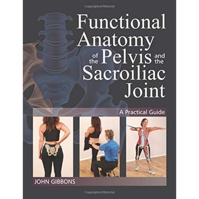 Functional Anatomy Of The Pelvis & The