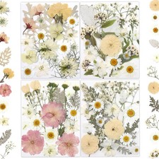 Pressed Floral Set 80 Pcs, Dried Flowers for Art, Soap, Resin Projects, White