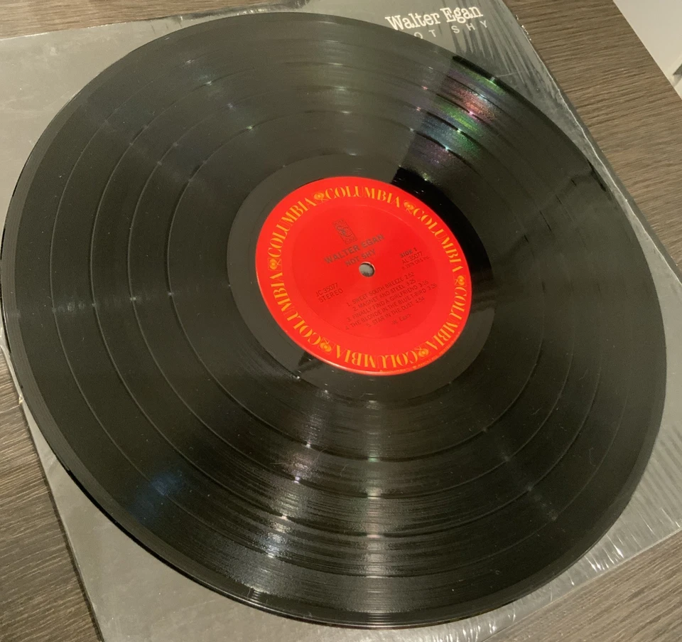 Walter Egan: Not Shy 1978, Pitman Pressing, VG JC 35077 Vinyl LP Foto 3 de 4