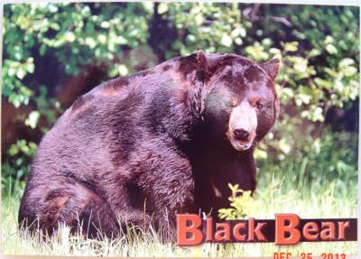 ANIMAL ~ Black Bear (Ursus americanus) ~ Postcard New / UNUSED | eBay