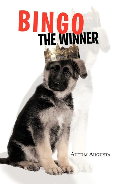 Autum Augusta | Bingo The Winner | Buch | Englisch (2012) | Gebunden-image