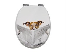Sitzplatz WC-Sitz Dekor Lesestoff mit Soft-Schließ-Komfort