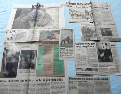 Busch Gardens Newspaper Clippings from the 1990s and 2000s RARE Lot #3