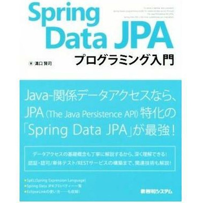 Spring Data JPA Programming Primary Kenji Mizoguchi (Author) Used 1