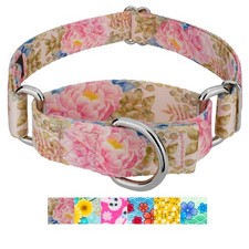 Country Brook Petz  Martingale Dog Collar - Spring Collection