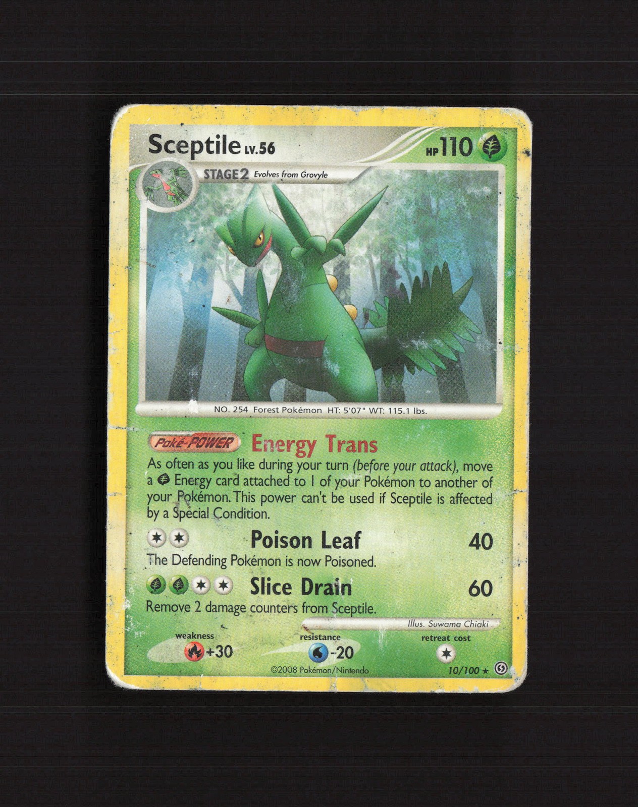 Sceptile 10/100 Stormfront Holo Rare Pokemon Card DMG
