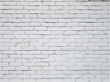 10 x 8 Ft Brick Wall Backdrop for Photography Polyester Fabric Brick Photo Ba...