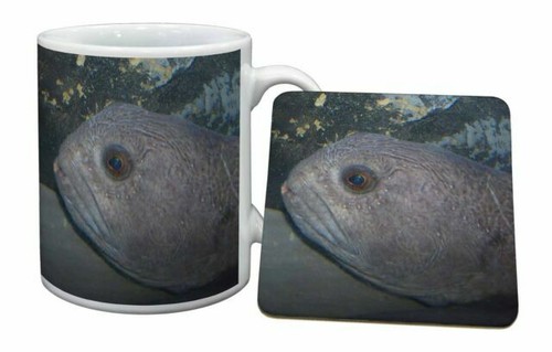 Wetterfester Aufkleber 'Petri Heil' – 11 Cm Oder 40 Cm – Perfekt Für Angler, Auto & Geschenke