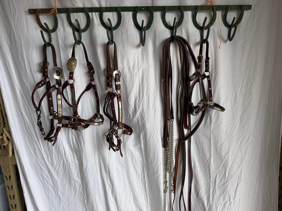 Halter Circle Y Show - Tamaño Anearling/Pony Foto 2 de 2