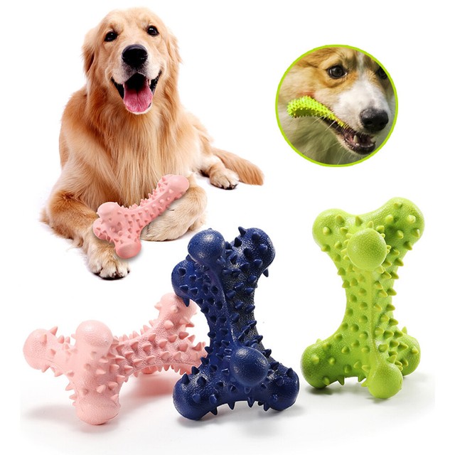 dog toothbrush chew toy
