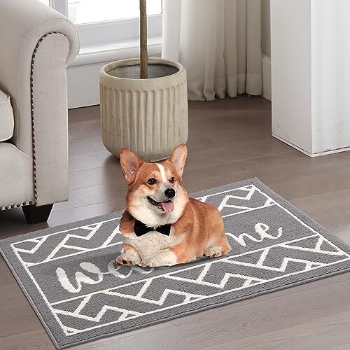 Front Door Mat Door Mat Indoor Entrance, Super Absorbent 32" x