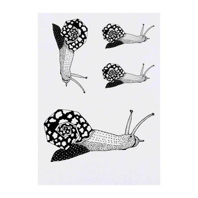 4 x 'Jazzy Snail' Temporäre Tattoos (TO00005583)