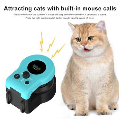 Interaktives Katzenspielzeug Radtrainer - Indoor Katzenlaufband für Spaß & Bewegung